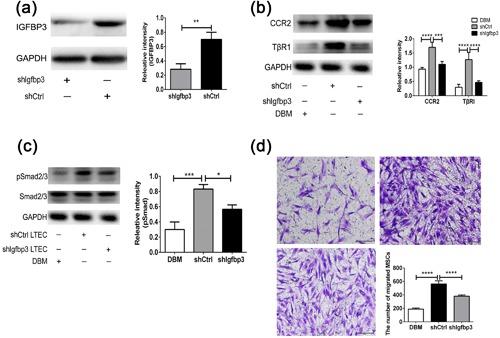 https://cdn.ncbi.nlm.nih.gov/pmc/blobs/b438/6220941/53a695cfbd9b/JCP-233-5792-g006.jpg