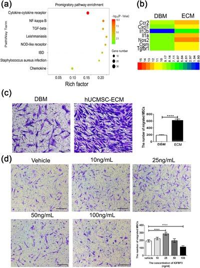 https://cdn.ncbi.nlm.nih.gov/pmc/blobs/b438/6220941/e1724a3594e1/JCP-233-5792-g003.jpg