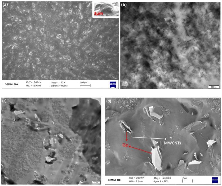 https://cdn.ncbi.nlm.nih.gov/pmc/blobs/b438/9370412/3e9367e2becf/nanomaterials-12-02637-g003.jpg