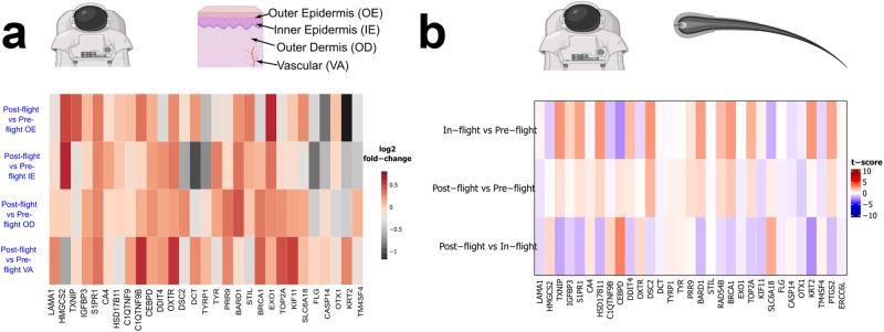 https://cdn.ncbi.nlm.nih.gov/pmc/blobs/b43a/11166967/19102a3b9b93/43856_2024_532_Fig4_HTML.jpg