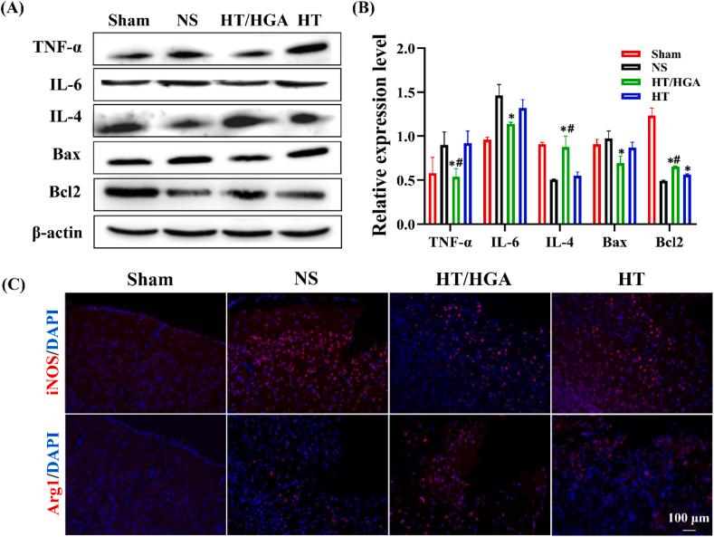 https://cdn.ncbi.nlm.nih.gov/pmc/blobs/b43a/9119840/f2505dcaf291/gr7.jpg