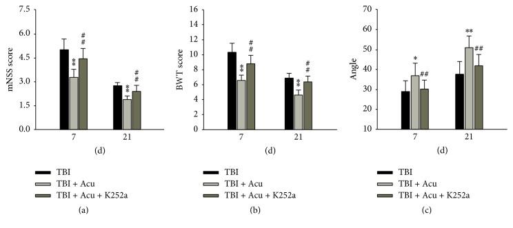 https://cdn.ncbi.nlm.nih.gov/pmc/blobs/b43b/5294361/f39a6ded3796/ECAM2017-8460145.004.jpg