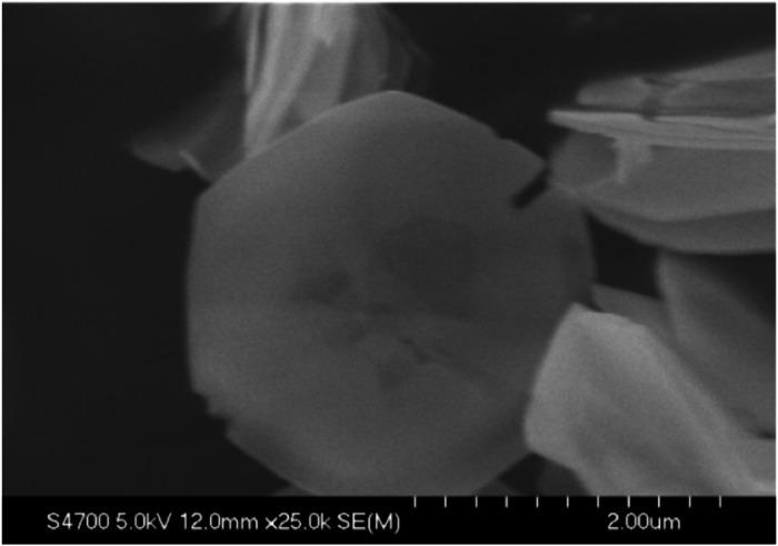 https://cdn.ncbi.nlm.nih.gov/pmc/blobs/b43f/11402166/b5286f635580/gr3.jpg