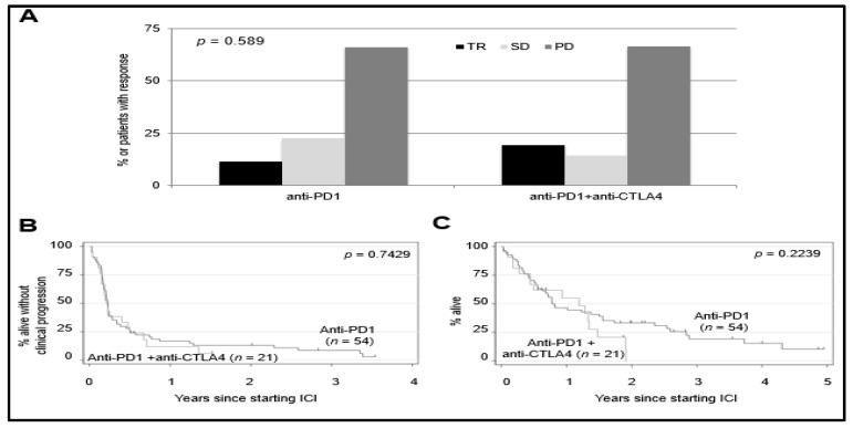 https://cdn.ncbi.nlm.nih.gov/pmc/blobs/b43f/8306971/17404c83db89/cancers-13-03640-g002.jpg