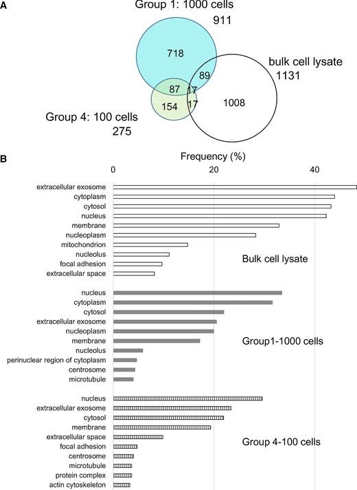 https://cdn.ncbi.nlm.nih.gov/pmc/blobs/b440/5600086/16e0b97bab56/PMIC-17-na-g002.jpg