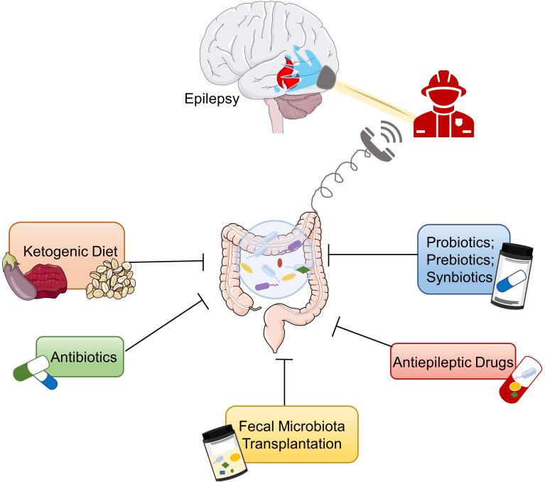 https://cdn.ncbi.nlm.nih.gov/pmc/blobs/b442/8542678/3b2808c79532/fimmu-12-742449-g002.jpg