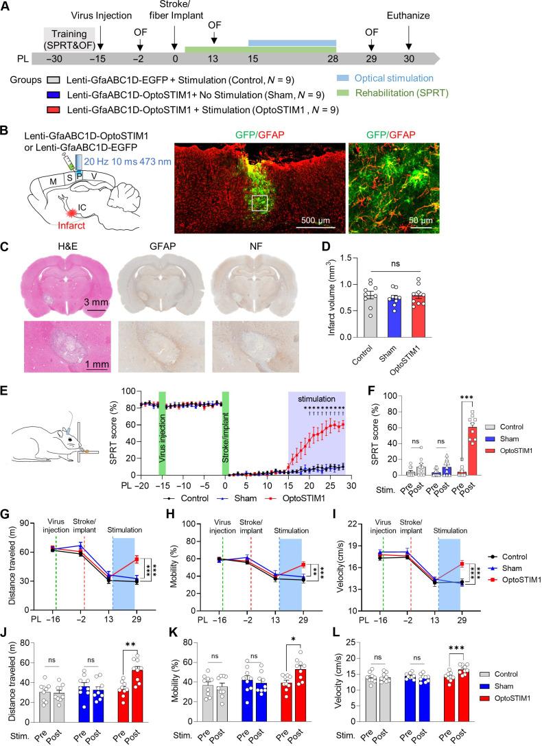 https://cdn.ncbi.nlm.nih.gov/pmc/blobs/b445/11784845/e8e2a3b37638/sciadv.adn7577-f2.jpg