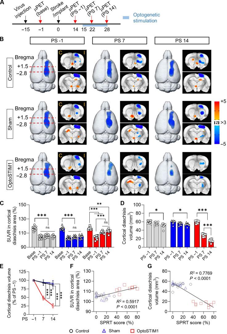 https://cdn.ncbi.nlm.nih.gov/pmc/blobs/b445/11784845/f790cc5f8a19/sciadv.adn7577-f3.jpg