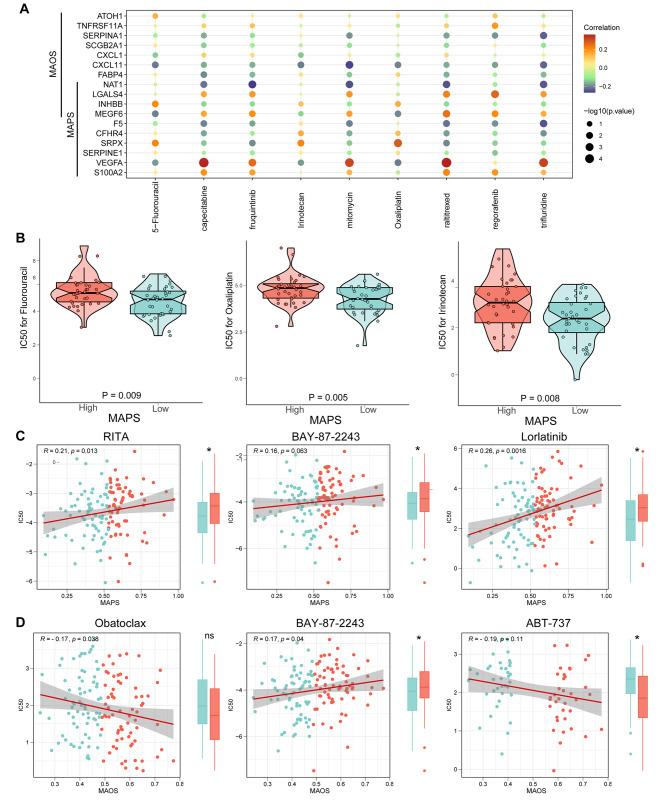 https://cdn.ncbi.nlm.nih.gov/pmc/blobs/b446/10981831/b3f0e5c9b28e/12967_2024_5127_Fig5_HTML.jpg