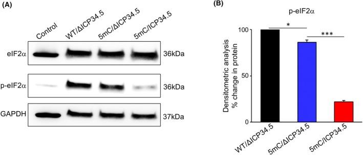 https://cdn.ncbi.nlm.nih.gov/pmc/blobs/b446/12226409/71bfe604b071/FEB4-15-1079-g005.jpg