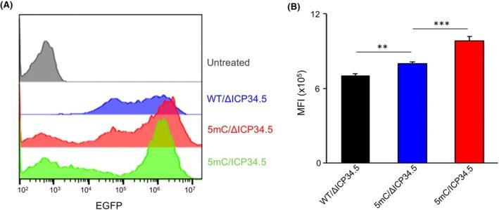 https://cdn.ncbi.nlm.nih.gov/pmc/blobs/b446/12226409/e1cafb156fae/FEB4-15-1079-g004.jpg