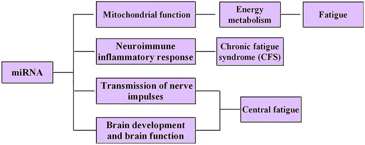 https://cdn.ncbi.nlm.nih.gov/pmc/blobs/b446/8500871/d99f2dfb4b0c/12031_2021_1845_Fig2_HTML.jpg