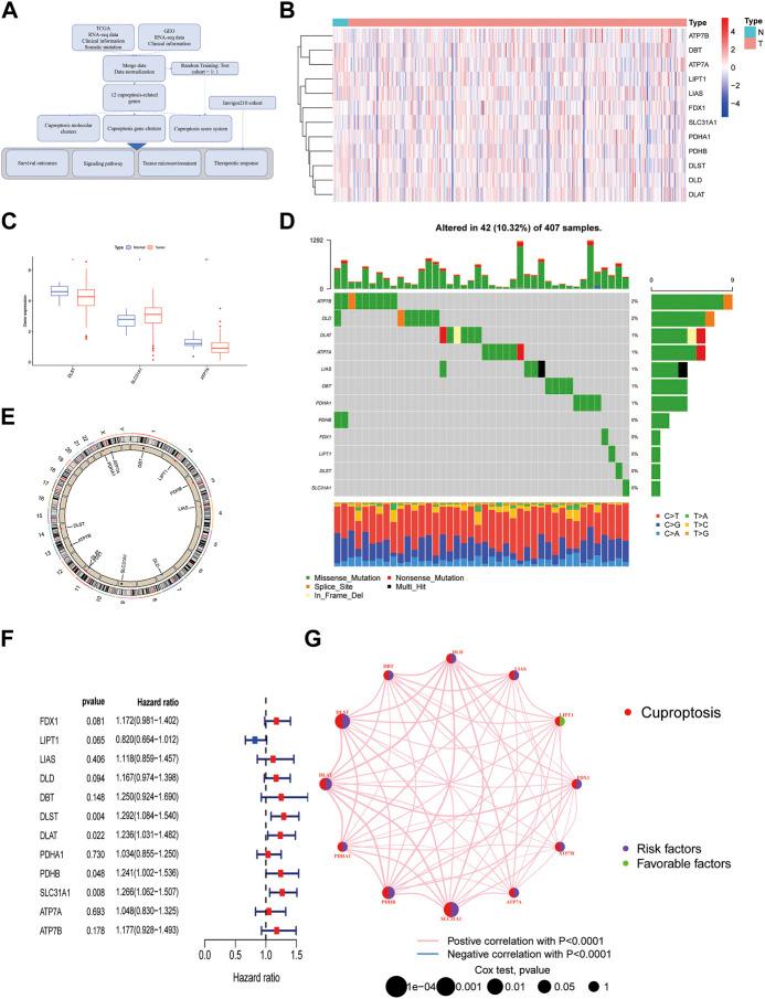 https://cdn.ncbi.nlm.nih.gov/pmc/blobs/b44a/9575963/108a644cf240/fgene-13-997573-g001.jpg