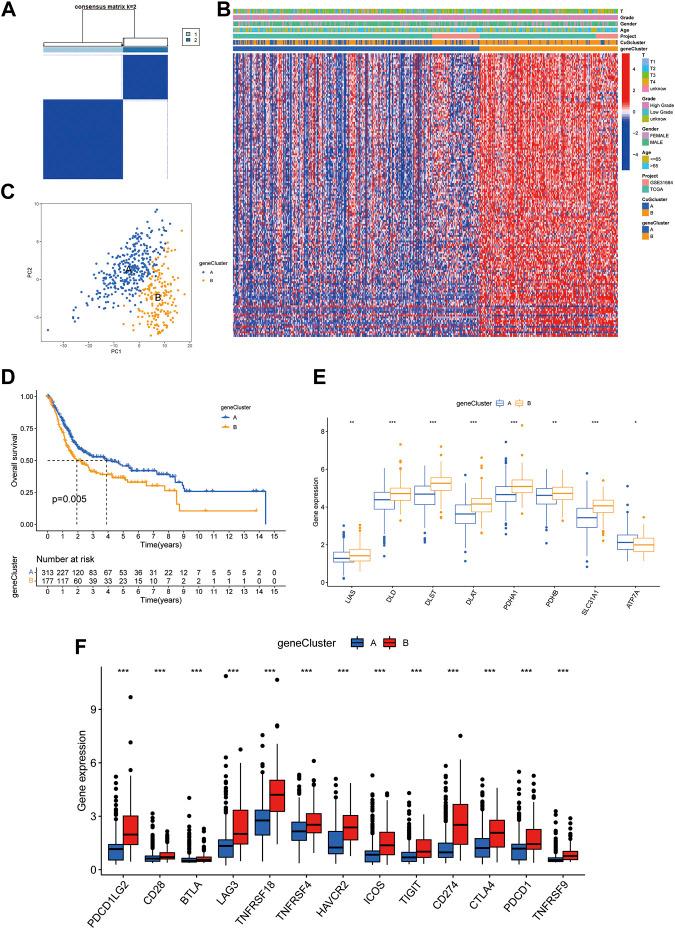 https://cdn.ncbi.nlm.nih.gov/pmc/blobs/b44a/9575963/2d4e7ea3a583/fgene-13-997573-g004.jpg