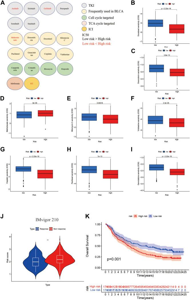 https://cdn.ncbi.nlm.nih.gov/pmc/blobs/b44a/9575963/a13387219339/fgene-13-997573-g009.jpg