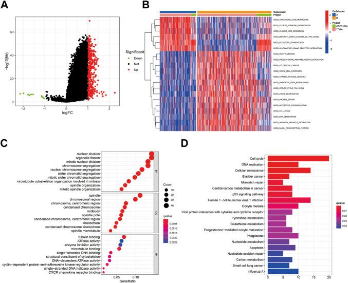 https://cdn.ncbi.nlm.nih.gov/pmc/blobs/b44a/9575963/b5f13d45110e/fgene-13-997573-g003.jpg