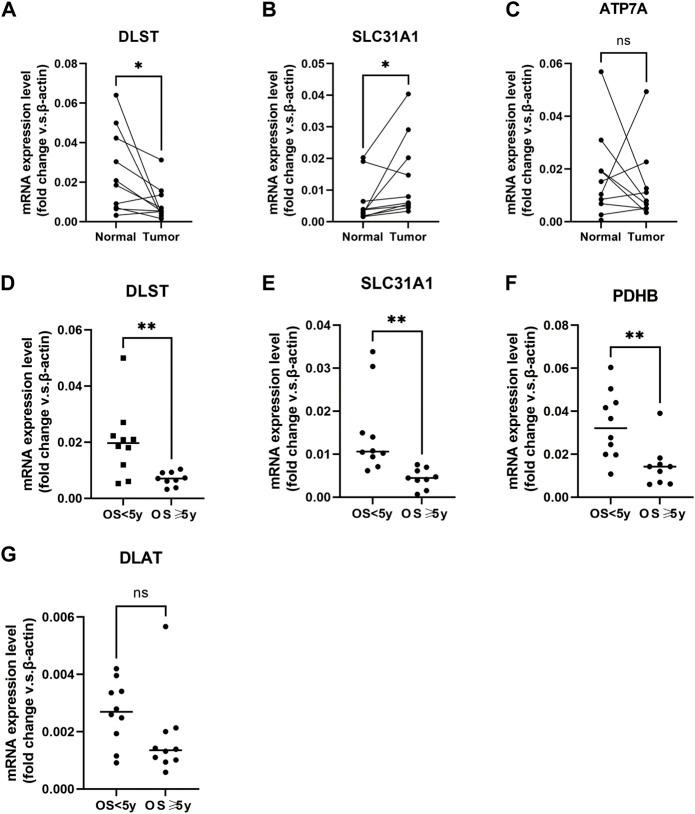 https://cdn.ncbi.nlm.nih.gov/pmc/blobs/b44a/9575963/c675a907001d/fgene-13-997573-g010.jpg