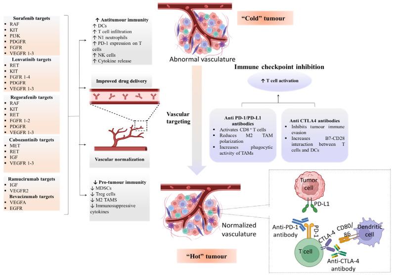 https://cdn.ncbi.nlm.nih.gov/pmc/blobs/b44b/11171154/323fbd8f4d93/cancers-16-02034-g004.jpg
