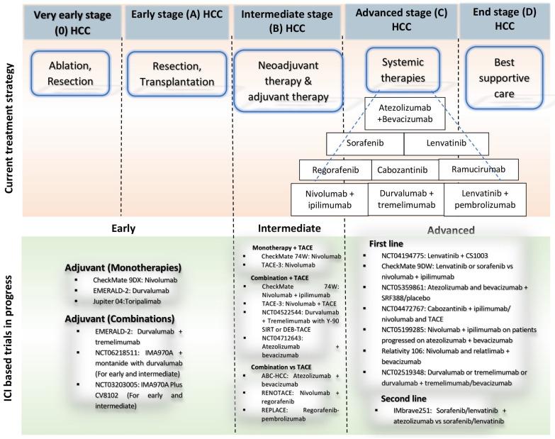 https://cdn.ncbi.nlm.nih.gov/pmc/blobs/b44b/11171154/563daf619800/cancers-16-02034-g006.jpg