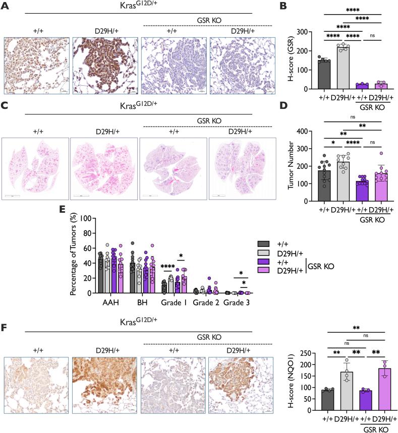 https://cdn.ncbi.nlm.nih.gov/pmc/blobs/b450/12133717/29ae0c9d0188/gr2.jpg