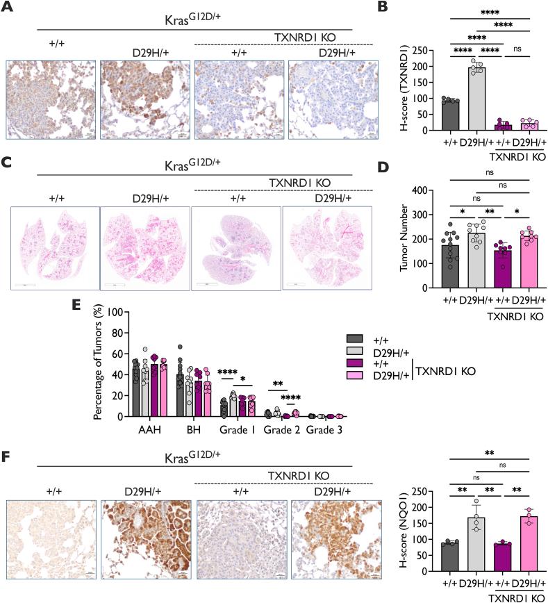 https://cdn.ncbi.nlm.nih.gov/pmc/blobs/b450/12133717/6b2bc695ab45/gr3.jpg