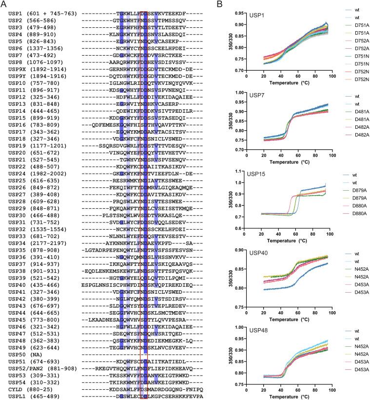 https://cdn.ncbi.nlm.nih.gov/pmc/blobs/b452/10867860/67a7bfa69ad0/LSA-2023-02533_FigS1.jpg