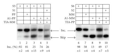 https://cdn.ncbi.nlm.nih.gov/pmc/blobs/b452/2814235/4e143fac9e28/JBB2009-104853.004.jpg