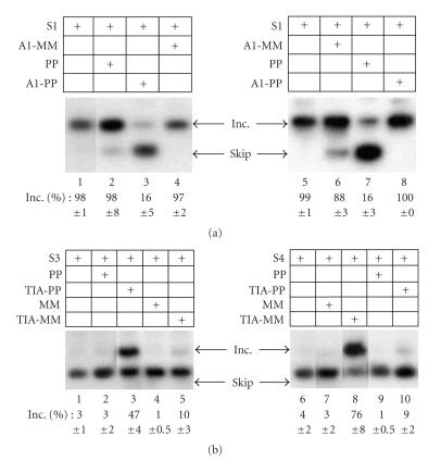https://cdn.ncbi.nlm.nih.gov/pmc/blobs/b452/2814235/92aeaddb584f/JBB2009-104853.003.jpg