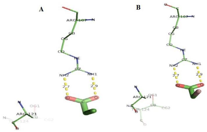 https://cdn.ncbi.nlm.nih.gov/pmc/blobs/b453/3546658/5d336978b801/ijms-13-15724f19.jpg