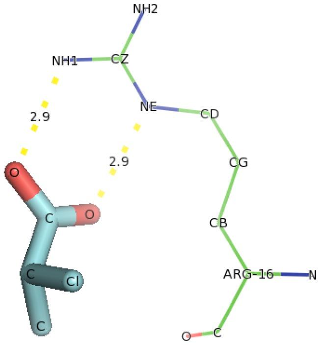 https://cdn.ncbi.nlm.nih.gov/pmc/blobs/b453/3546658/9bf12767bb18/ijms-13-15724f16.jpg
