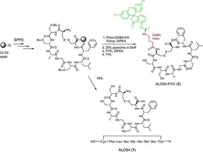 https://cdn.ncbi.nlm.nih.gov/pmc/blobs/b458/5325384/91907fc5dc38/oncotarget-07-63549-g006.jpg