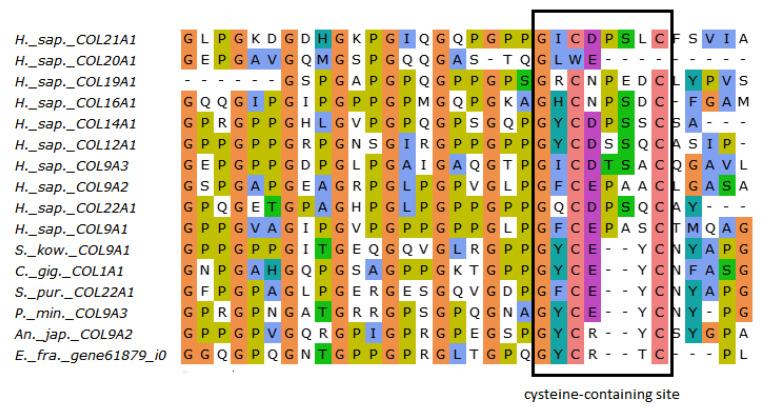 https://cdn.ncbi.nlm.nih.gov/pmc/blobs/b459/10381214/f108b8227238/marinedrugs-21-00417-g004.jpg