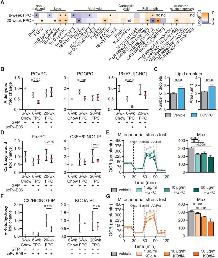 https://cdn.ncbi.nlm.nih.gov/pmc/blobs/b45a/9286512/a7747265e36d/sciadv.abn0050-f7.jpg