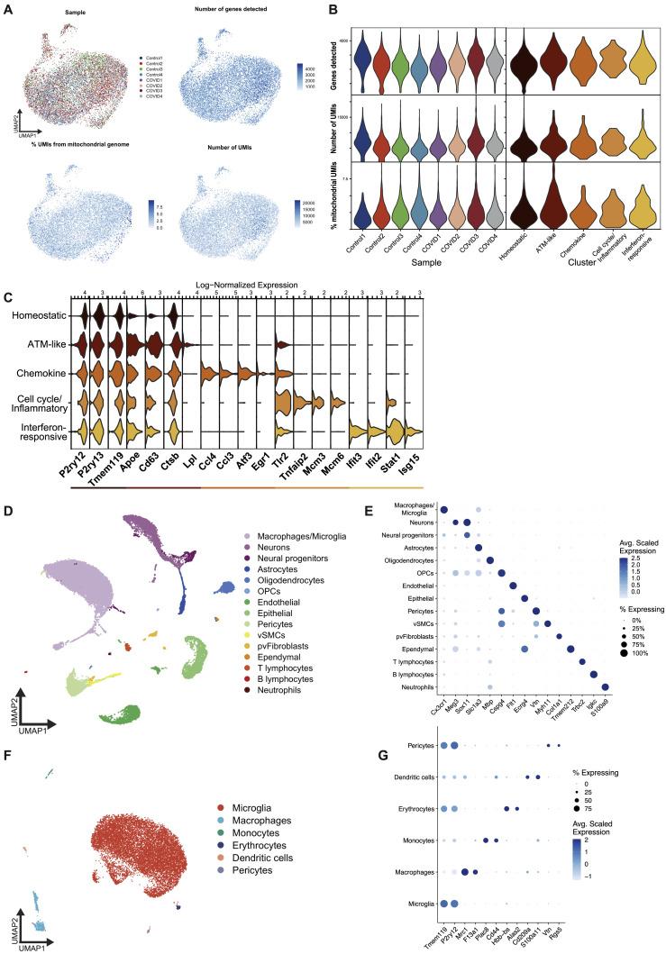 https://cdn.ncbi.nlm.nih.gov/pmc/blobs/b45b/9189143/3be6537d12b6/figs5_lrg.jpg