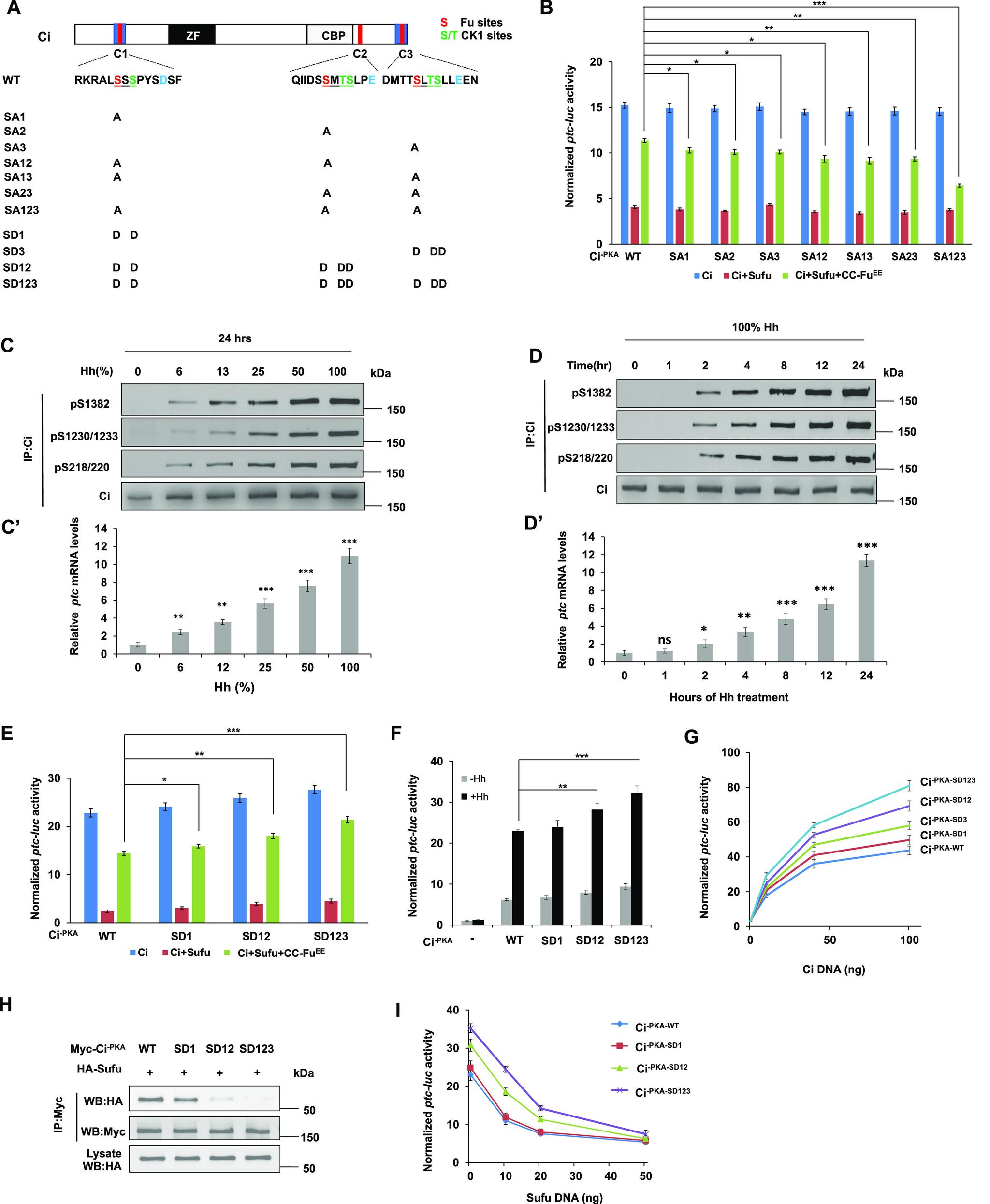 https://cdn.ncbi.nlm.nih.gov/pmc/blobs/b45e/9445324/5c155f725d5c/LSA-2022-01570_Fig2.jpg