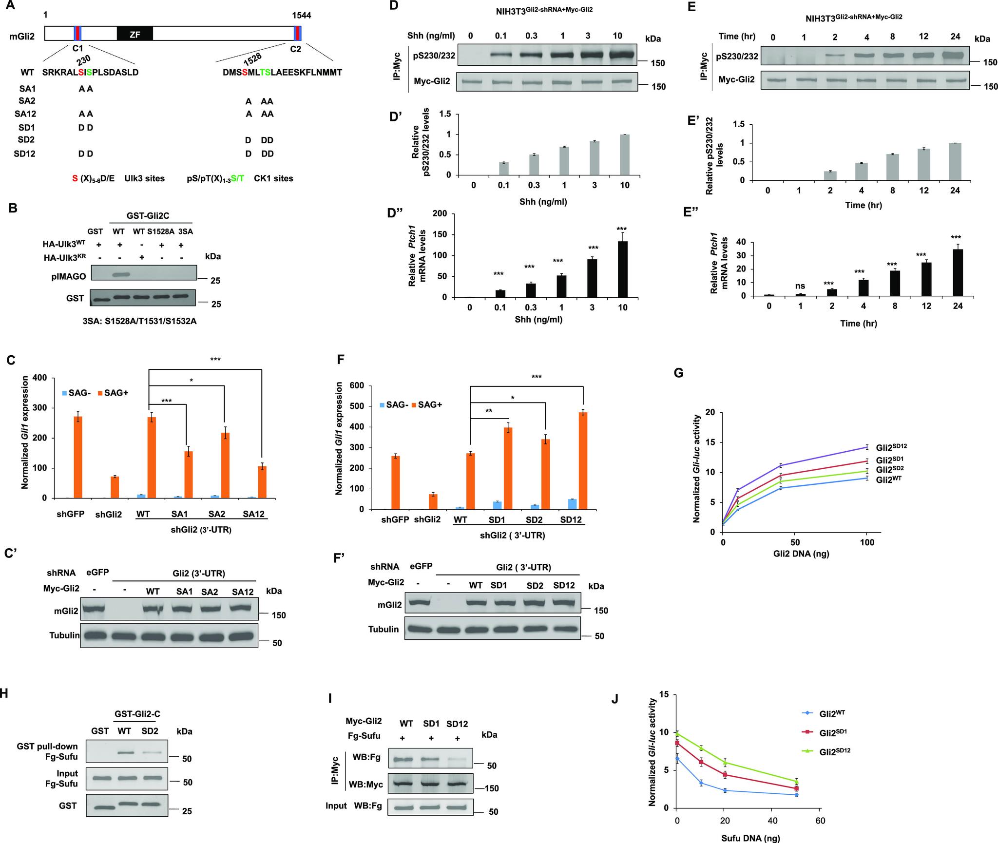 https://cdn.ncbi.nlm.nih.gov/pmc/blobs/b45e/9445324/c3ffaad26248/LSA-2022-01570_Fig4.jpg