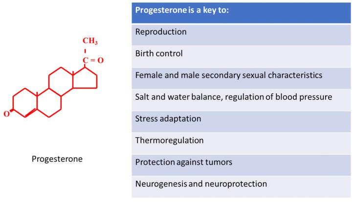 https://cdn.ncbi.nlm.nih.gov/pmc/blobs/b460/8538505/9496e2ff921f/ijms-22-11039-g004.jpg