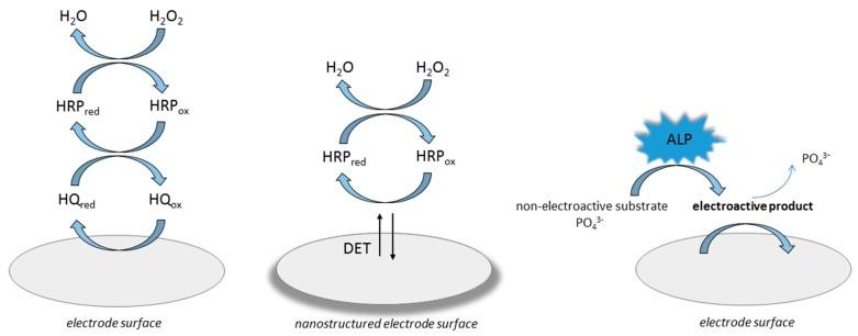 https://cdn.ncbi.nlm.nih.gov/pmc/blobs/b462/6628091/6d1df0e69fee/biosensors-09-00061-g003.jpg