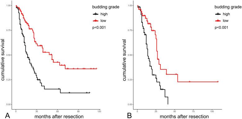 https://cdn.ncbi.nlm.nih.gov/pmc/blobs/b463/7545681/3d1a04a3ce59/jcav11p6474g003.jpg