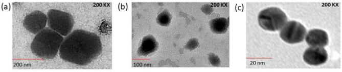 https://cdn.ncbi.nlm.nih.gov/pmc/blobs/b465/10354090/3c1d3e49a79a/41598_2023_38740_Fig1_HTML.jpg