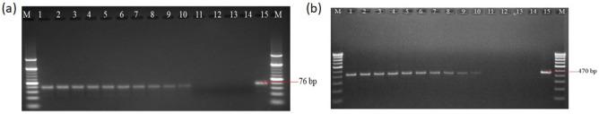 https://cdn.ncbi.nlm.nih.gov/pmc/blobs/b465/10354090/50004b397afa/41598_2023_38740_Fig5_HTML.jpg