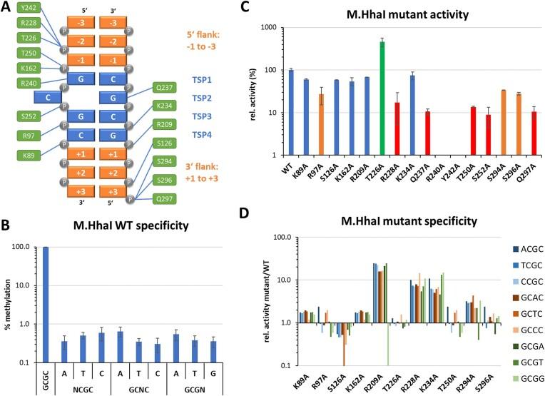 https://cdn.ncbi.nlm.nih.gov/pmc/blobs/b465/11879396/988f8672084a/gkaf126fig3.jpg