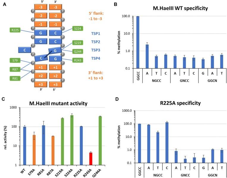 https://cdn.ncbi.nlm.nih.gov/pmc/blobs/b465/11879396/d7fd25689e2c/gkaf126fig6.jpg