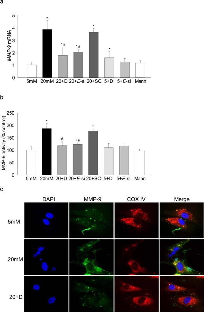 https://cdn.ncbi.nlm.nih.gov/pmc/blobs/b465/5737805/f61f01869b08/i1552-5783-58-14-6440-f04.jpg