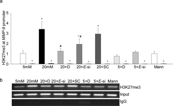 https://cdn.ncbi.nlm.nih.gov/pmc/blobs/b465/5737805/fea3eea8fa18/i1552-5783-58-14-6440-f01.jpg
