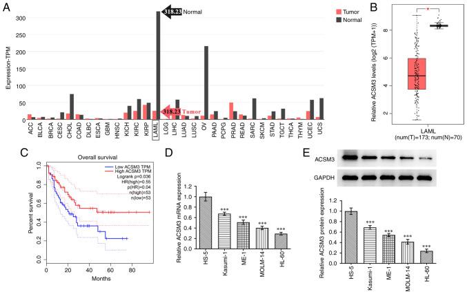 https://cdn.ncbi.nlm.nih.gov/pmc/blobs/b467/10061044/d82adfa97dff/etm-25-04-11876-g00.jpg