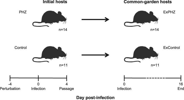 https://cdn.ncbi.nlm.nih.gov/pmc/blobs/b46d/6805783/4fc196968d16/eoz028f1.jpg
