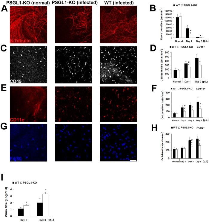https://cdn.ncbi.nlm.nih.gov/pmc/blobs/b46e/4557979/599f09e2e3b0/pone.0137123.g004.jpg