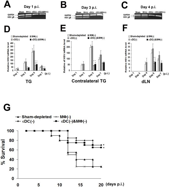 https://cdn.ncbi.nlm.nih.gov/pmc/blobs/b46e/4557979/c641818c711e/pone.0137123.g006.jpg