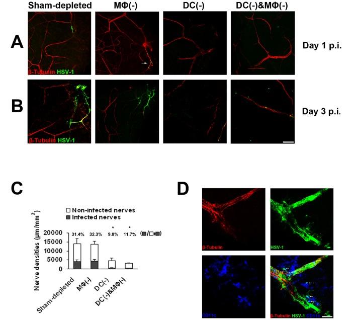https://cdn.ncbi.nlm.nih.gov/pmc/blobs/b46e/4557979/dbb8576f63ac/pone.0137123.g005.jpg